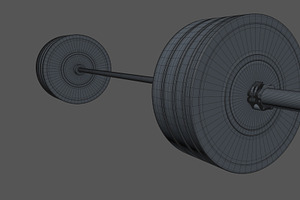 Olympic Weightlifting Barbell Crossf