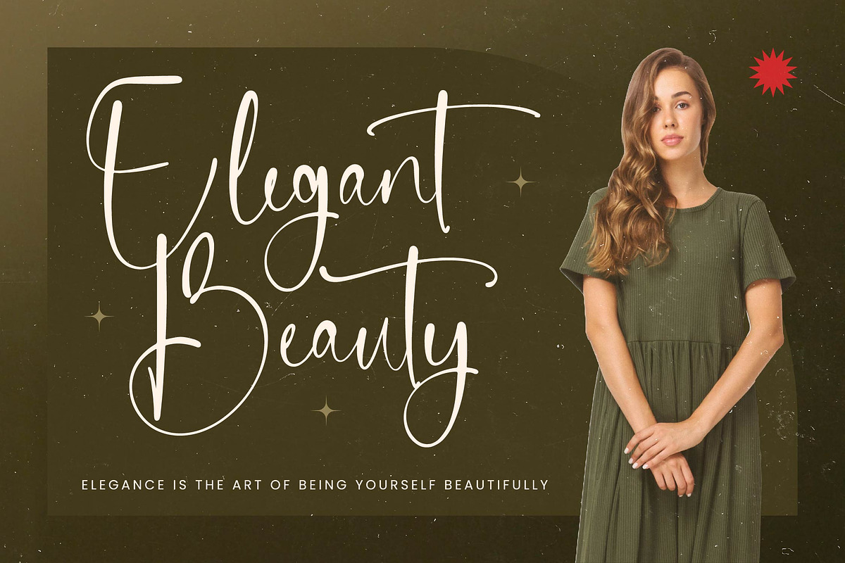 Delicately Stylish Handwritten Font, a Serif Font by stylishtype.co (Photo 2 of 20)