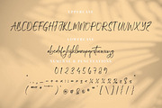 Micqallena, a Script Font by Integritype Studio (Thumbnail 9 of 15)