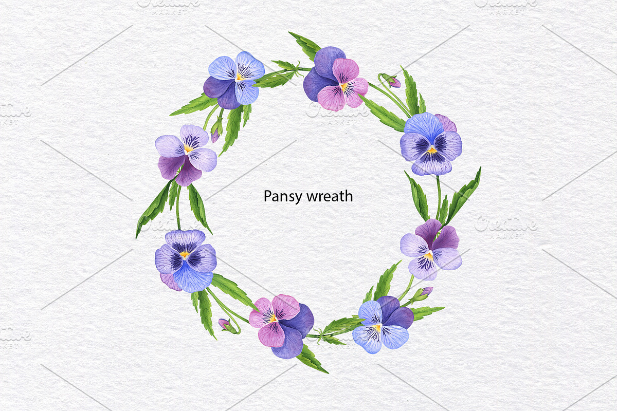 Pansy Watercolor Hand drawn set, a Decorative Illustration by KathrineWatercolor (Photo 6 of 9)
