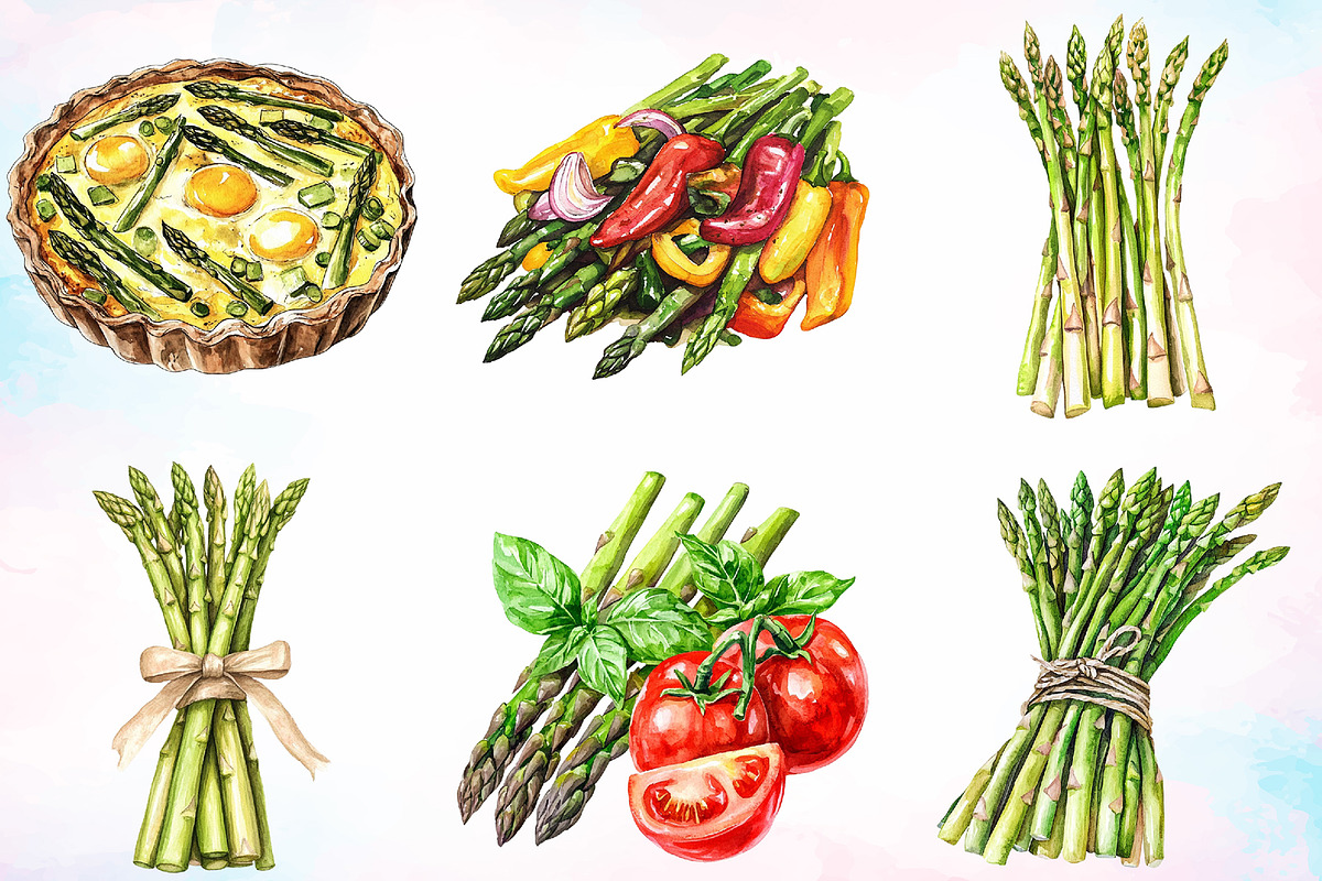 Watercolor Asparagus Clipart Bundle, a Food Illustration by Canvas Craft (Photo 3 of 3)