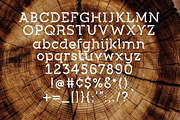 Quercia | Logo Stencil Slab Font, a Slab Serif Font by Craft Graphic Type (Thumbnail 8 of 9)