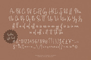 Sparkling Lights Script, a Handwritten Font by iStar Design (Thumbnail 10 of 11)