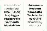 Pampero | Modern Display & Text Sans, a Sans Serif Font by Antipixel Type Studio (Thumbnail 5 of 16)
