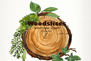 Watercolor Woodslices Clipart- Handp, an Illustration by SandraGraphicDesign (Thumbnail 4 of 7)