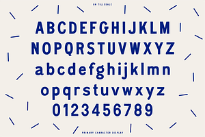 BN Tillsdale: Hand-drawn Font Family