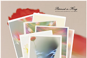 Bloomed in Haze: Floral Backgrounds, a Background Graphic by Purple (Thumbnail 10 of 14)
