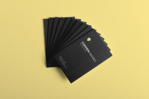 BG Premium Business Card Duo