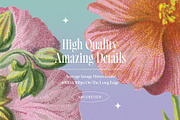 Atlas of Flowers - Botanical Art Set, an Object Graphic by Graphic Goods (Thumbnail 8 of 12)