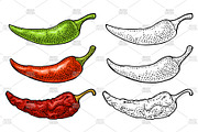 Branch chili plant Vintage engraving, a Food Illustration by MoreVector (Thumbnail 5 of 5)