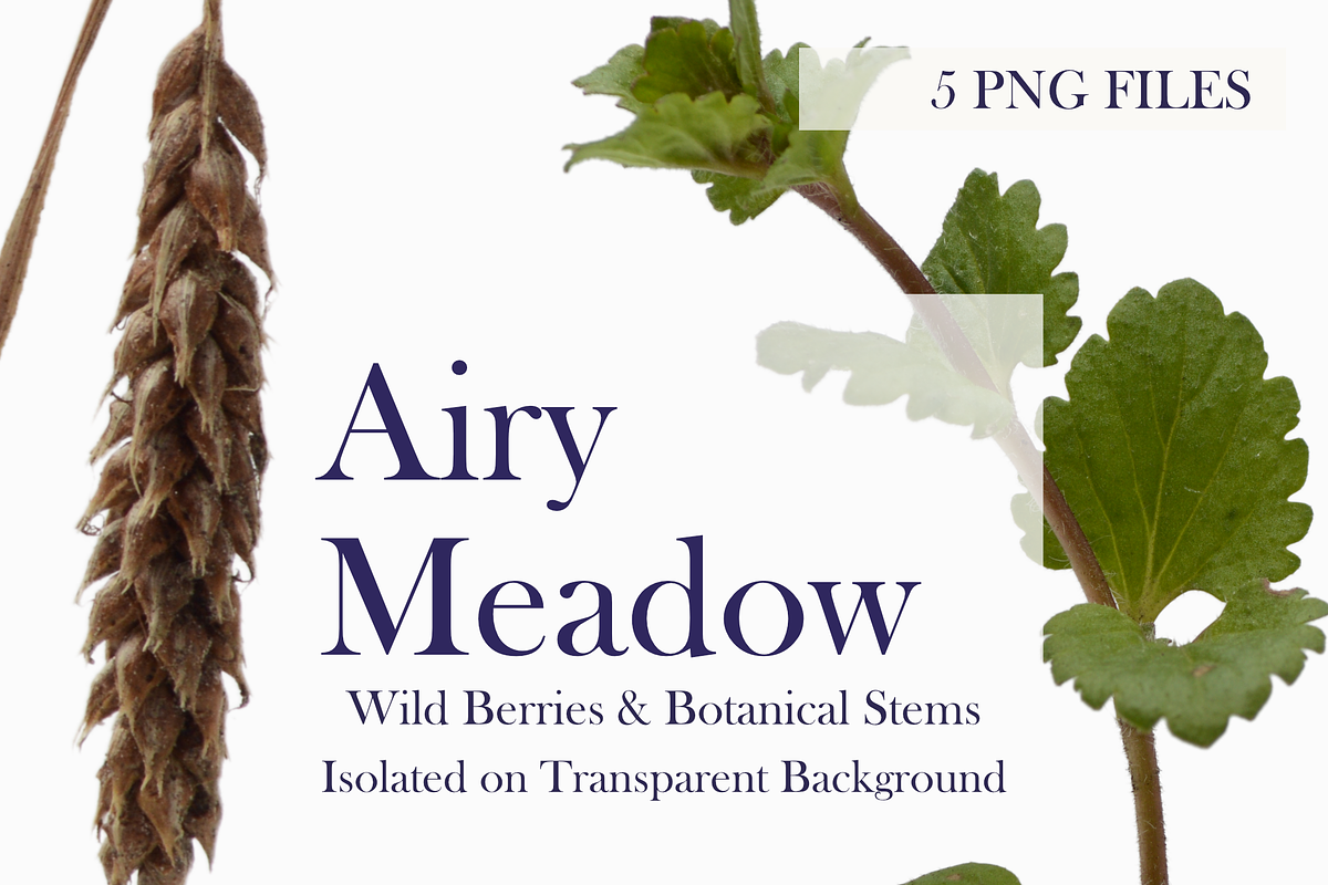 Airy Meadow – Wild Berries & Botanic, an Object Graphic by Aga Silva (Photo 4 of 5)