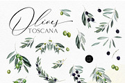 Toscana Olives Greenery, a Food Illustration by Olga Koelsch (Thumbnail 11 of 13)