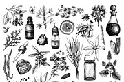 Floral Aromatic Vector Illustrations, an Object Graphic by Yevheniia (Thumbnail 2 of 7)