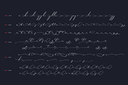 Michand Script | Classy Calligraphy, a Script Font by StoricType (Thumbnail 4 of 16)