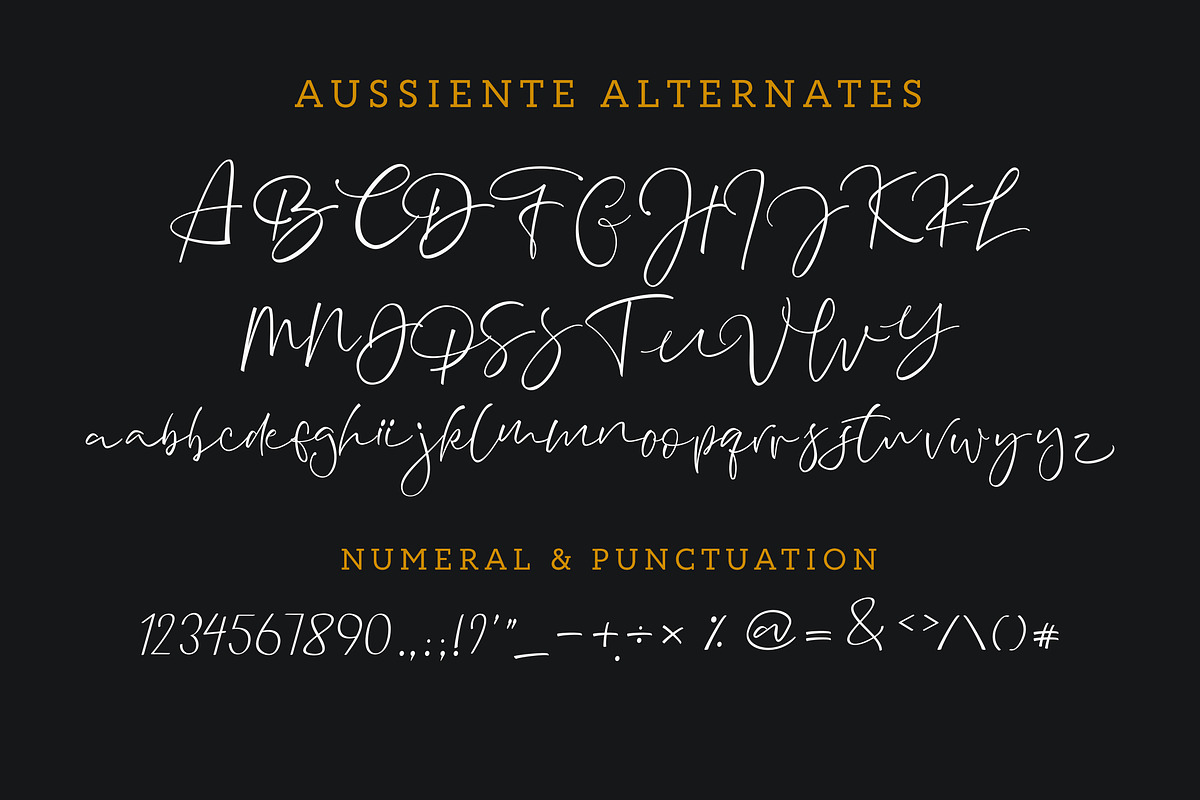Aussiente Signature - Script, a Script Font by Inspiratype (Photo 9 of 10)
