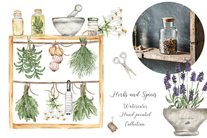 Watercolor Herbs And Spices