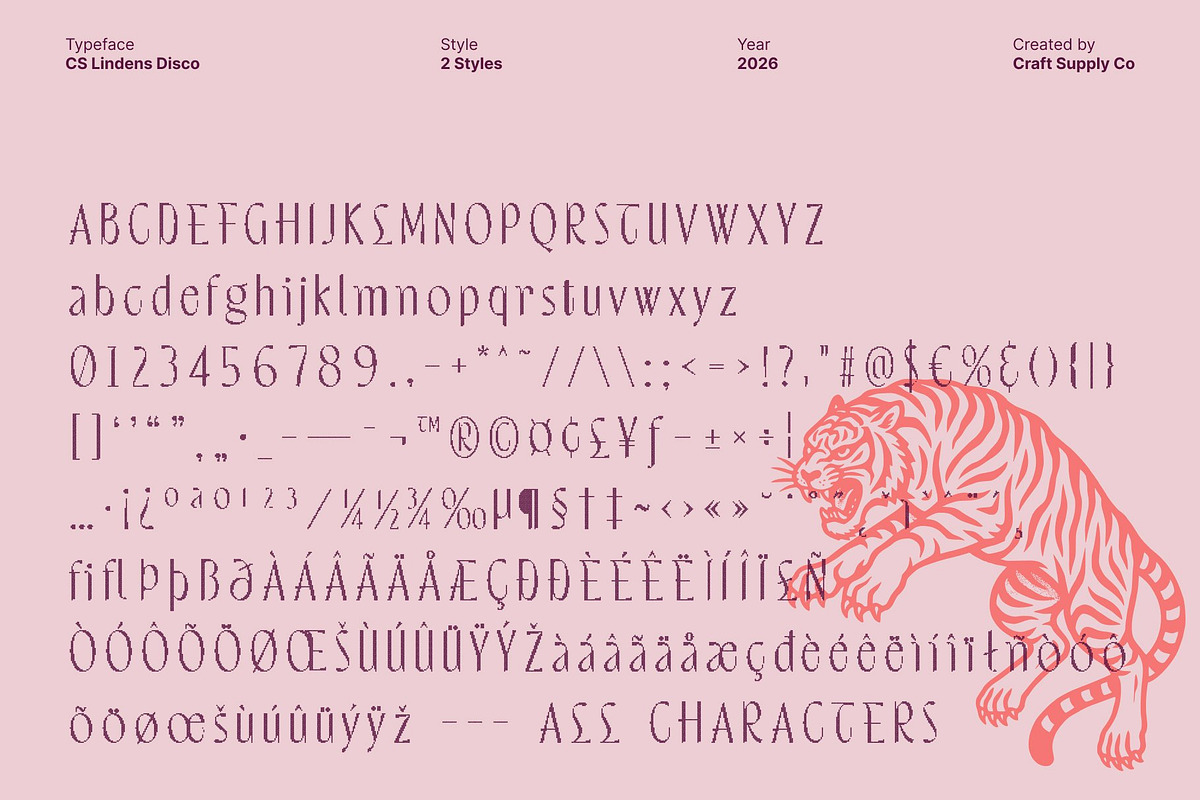 CS Lindens Disco, a Sans Serif Font by Craft Supply Co. (Photo 8 of 8)