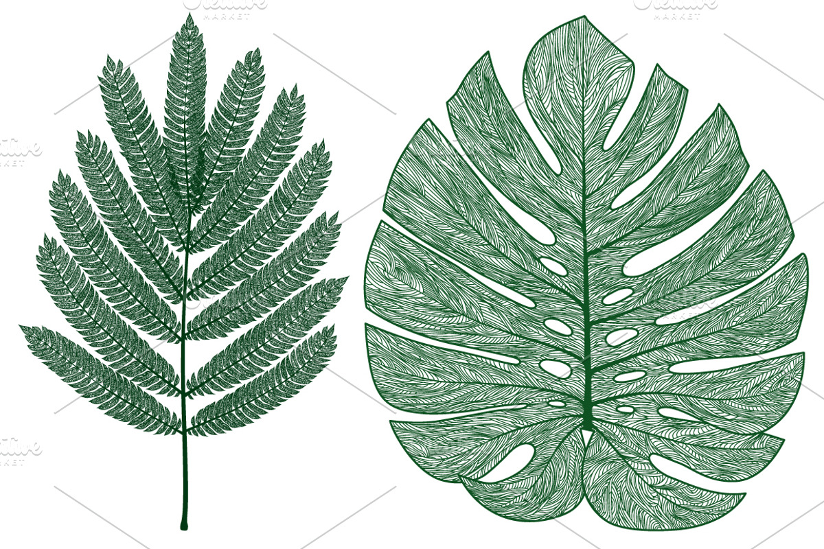 Big set of vector isolated leaves, an Object Graphic by Doodley Store
