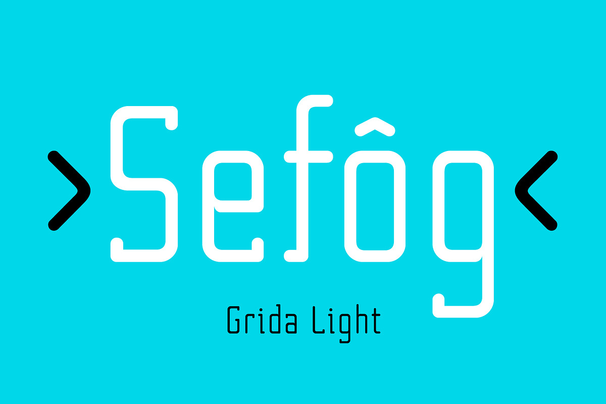 Grida Font Family, a Sans Serif Font by Max Glimm Type (Photo 3 of 7)