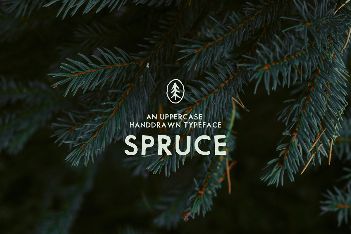 SPRUCE UPPERCASE TYPEFACE, a Handwritten Font by Caroline Holm Design (Photo 1 of 4)