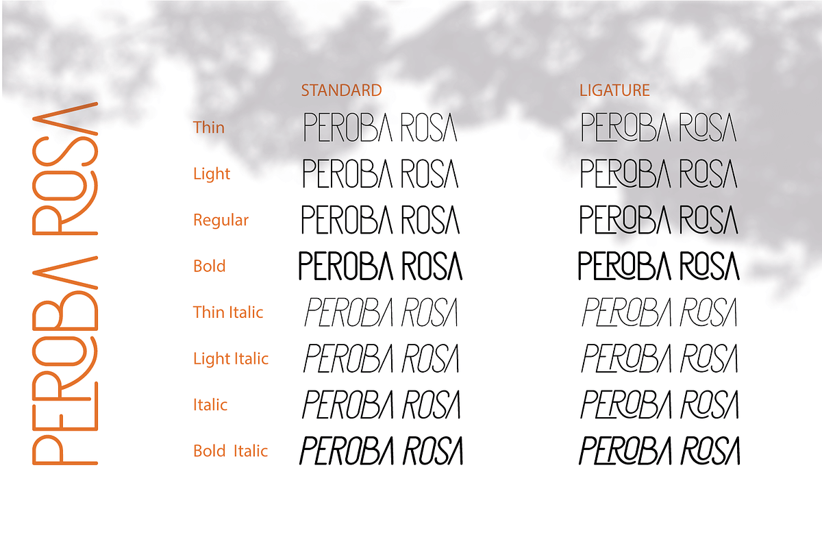 Peroba rosa - Modern Font Family, a Sans Serif Font by Yahya Type (Photo 16 of 16)