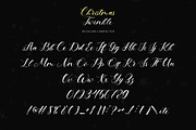 Christmas Twinkle, a Handwritten Font by Letterara (Thumbnail 8 of 11)