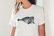 Seals - watercolor set, an Animal Illustration by KatBranchArt (Thumbnail 6 of 6)