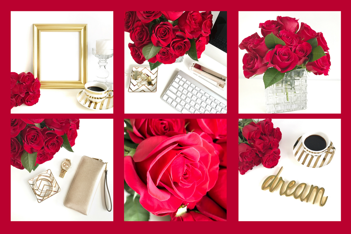 Red Roses Collection, a Business Photo by yamilette.platero (Photo 6 of 6)