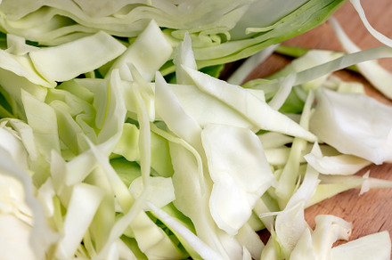 Sliced white cabbage on the table, a Photo by MyPhotos