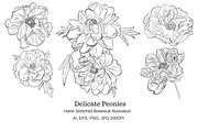Delicate Peonies, an Object Graphic by VictoriaKStudio (Thumbnail 1 of 6)