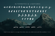 Bulgaria Dreams Apparel Font, a Script Font by Rissyletter Studio (Thumbnail 9 of 10)