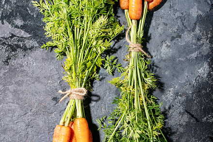 Bunch of fresh carrots with green le stock photo containing carrot and organic