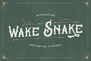 Wake Snake - Decorative Typeface, a Font by Typefactoryco (Thumbnail 1 of 10)