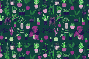 House Plants Illustrations & Pattern