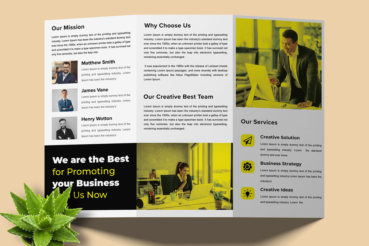 Trifold Brochure Design Layout