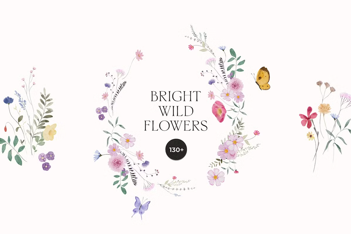 Watercolor Wildflowers Bundle, a Decorative Illustration by Lana Elanor (Photo 8 of 9)