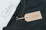 Ambigail Jonathan Stylish Signature, a Script Font by stylishtype.co (Thumbnail 17 of 20)