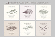 Herbal Design Kit: Vector & PSD, a Templates & Theme by Lumitar (Thumbnail 2 of 8)
