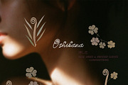 Oshibana Dried & Pressed Fall Leaves, an Object Graphic by Lana Elanor (Thumbnail 11 of 17)