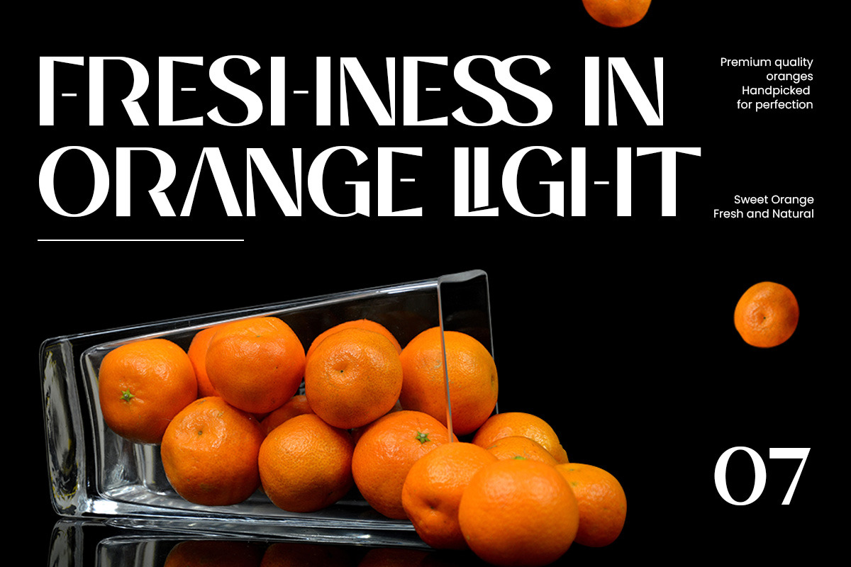 Balvier – Modern Luxury Sans Font, a Sans Serif Font by roomspace creative lab (Photo 8 of 12)