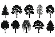 Woodland & Forest Tree Silhouettes B, an Illustration by jahid234 (Thumbnail 20 of 41)