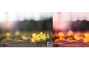 Kamin Film Feeling Roll 1, an Action Add-On by Kamin Lightroom Preset (Thumbnail 6 of 22)