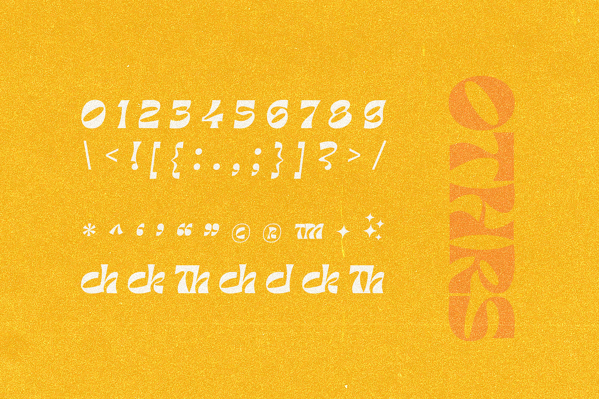 Barbra Display, a Font by nurrontype (Photo 15 of 15)