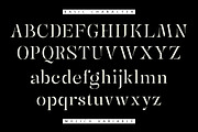 Mulich Serif Display | 18 Fonts, a Serif Font by Skinny Type (Thumbnail 13 of 15)