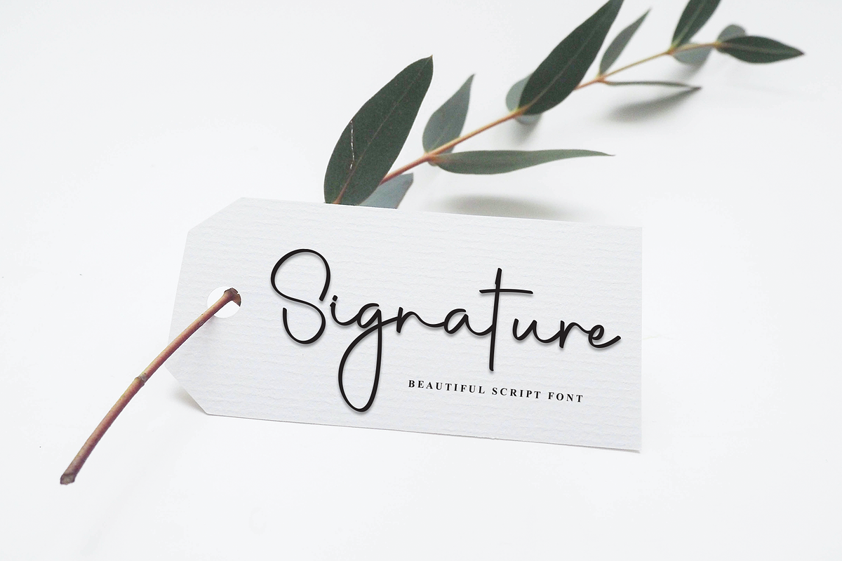 Smoothie | Script Font, a Handwritten Font by Scratchones (Photo 5 of 8)
