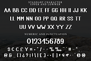 Rustic Summer, a Script Font by InermediaSTUDIO (Thumbnail 5 of 8)