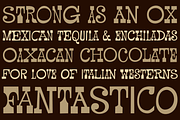 Pardner, a Serif Font by Stiggy & Sands (Thumbnail 3 of 4)
