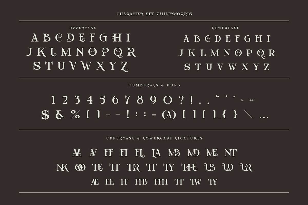 Philipmorris Bold Retro Font, a Serif Font by JumboDesign (Photo 4 of 8)