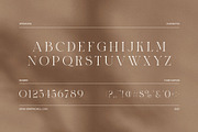 Royal Stylish Serif Font, a Serif Font by Elegant Font (Thumbnail 7 of 8)