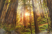 Fog Smoke Brush & PNG, a Brush Add-On by MRI STUDIO (Thumbnail 23 of 46)